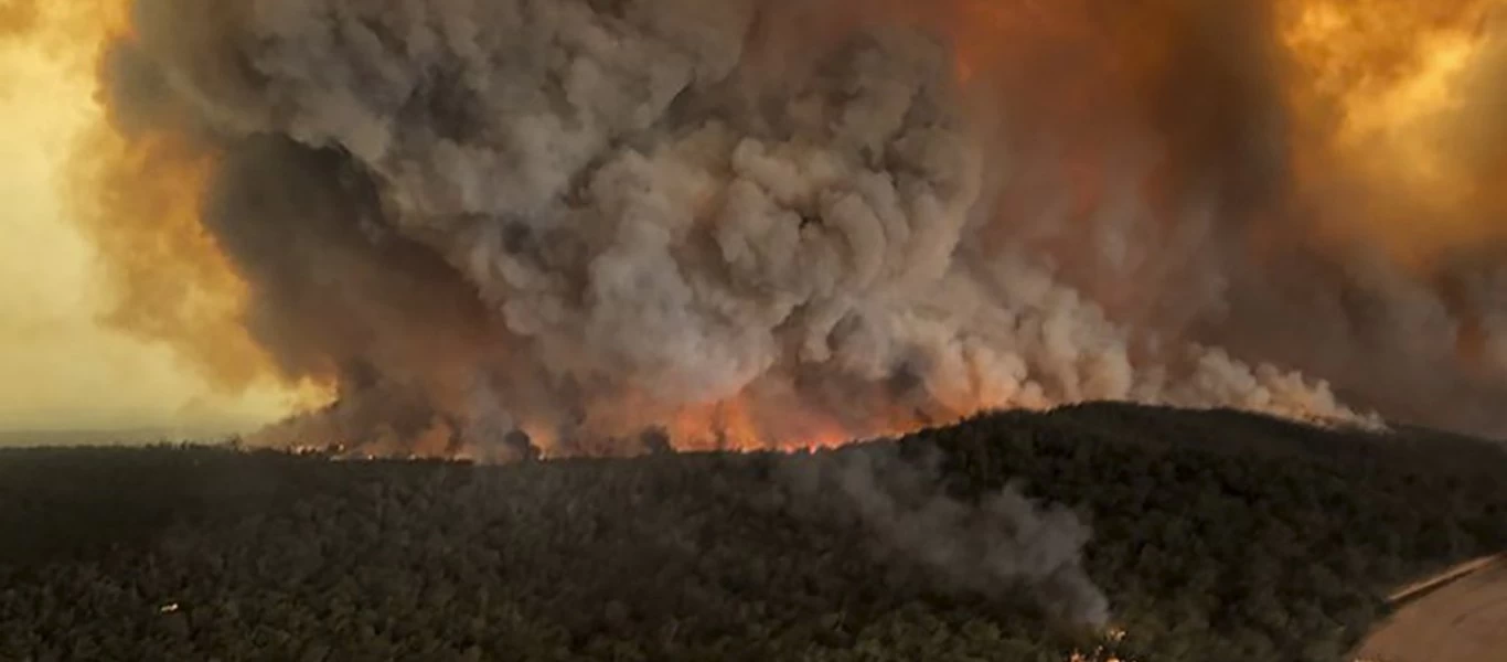 Φωτιά σε δασική έκταση στην Ηλεία - Επιχειρούν ισχυρές δυνάμεις της Πυροσβεστικής